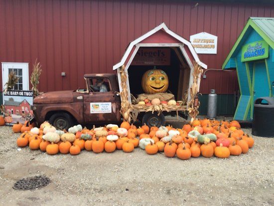 Siegel's Cottonwood Farm